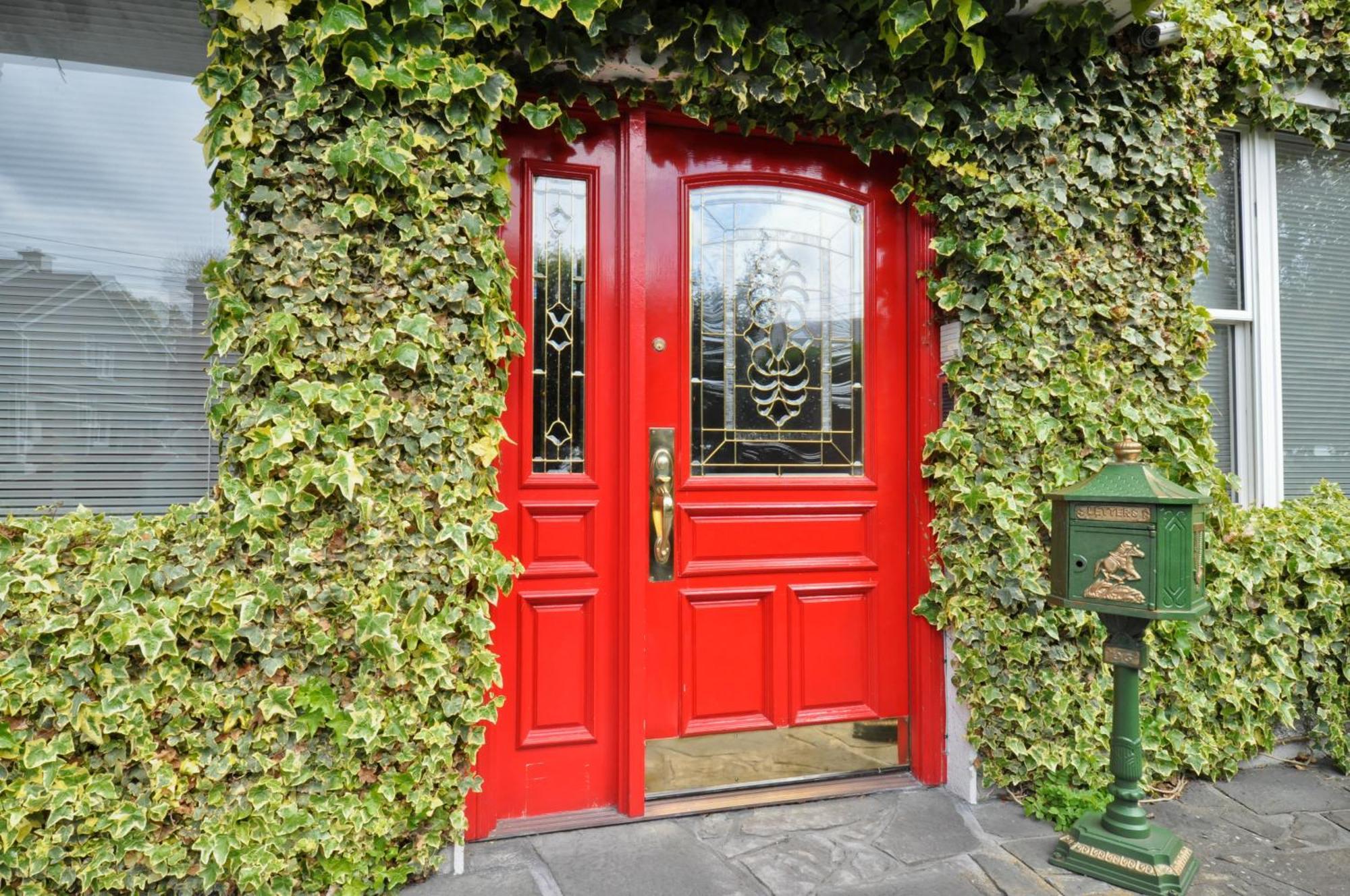 Ash Grove House Bed & Breakfast Голуей Екстериор снимка
