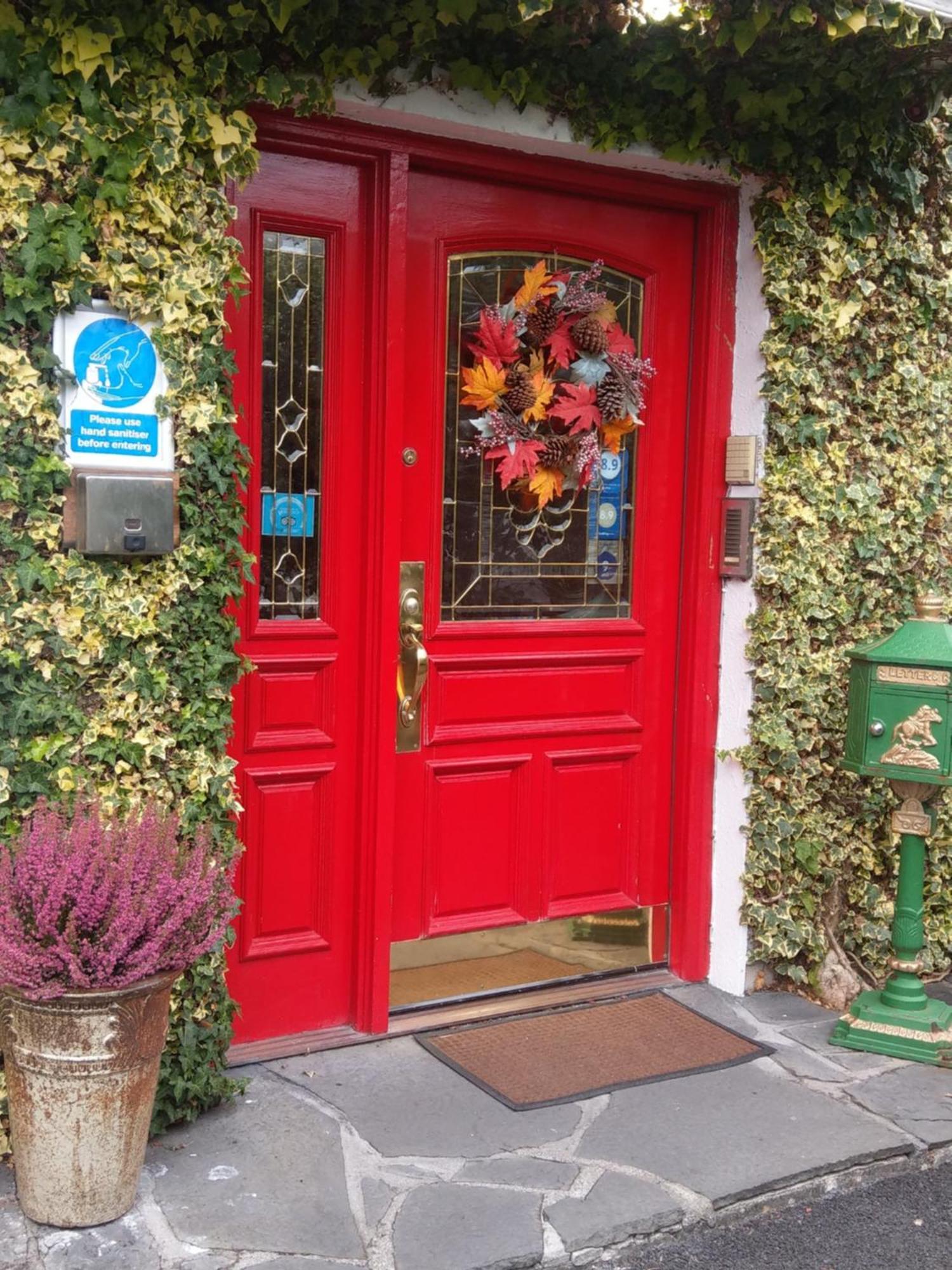 Ash Grove House Bed & Breakfast Голуей Екстериор снимка